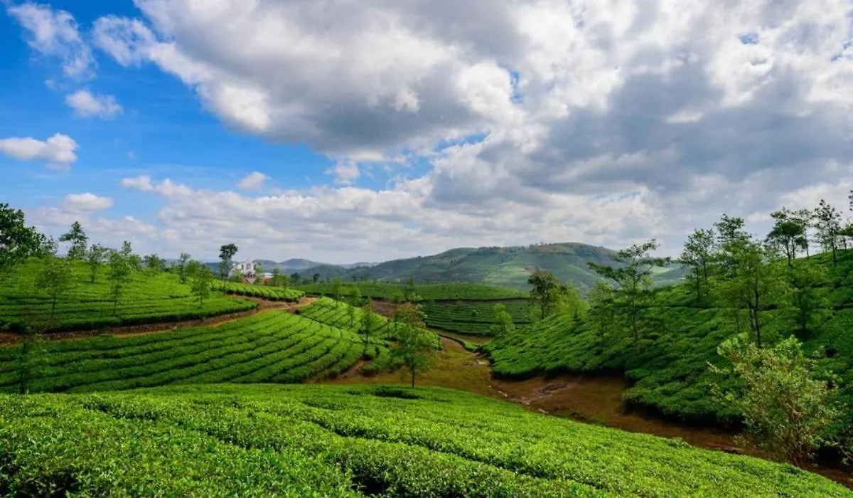 度假居 Nature Home Stay 瓦加蒙