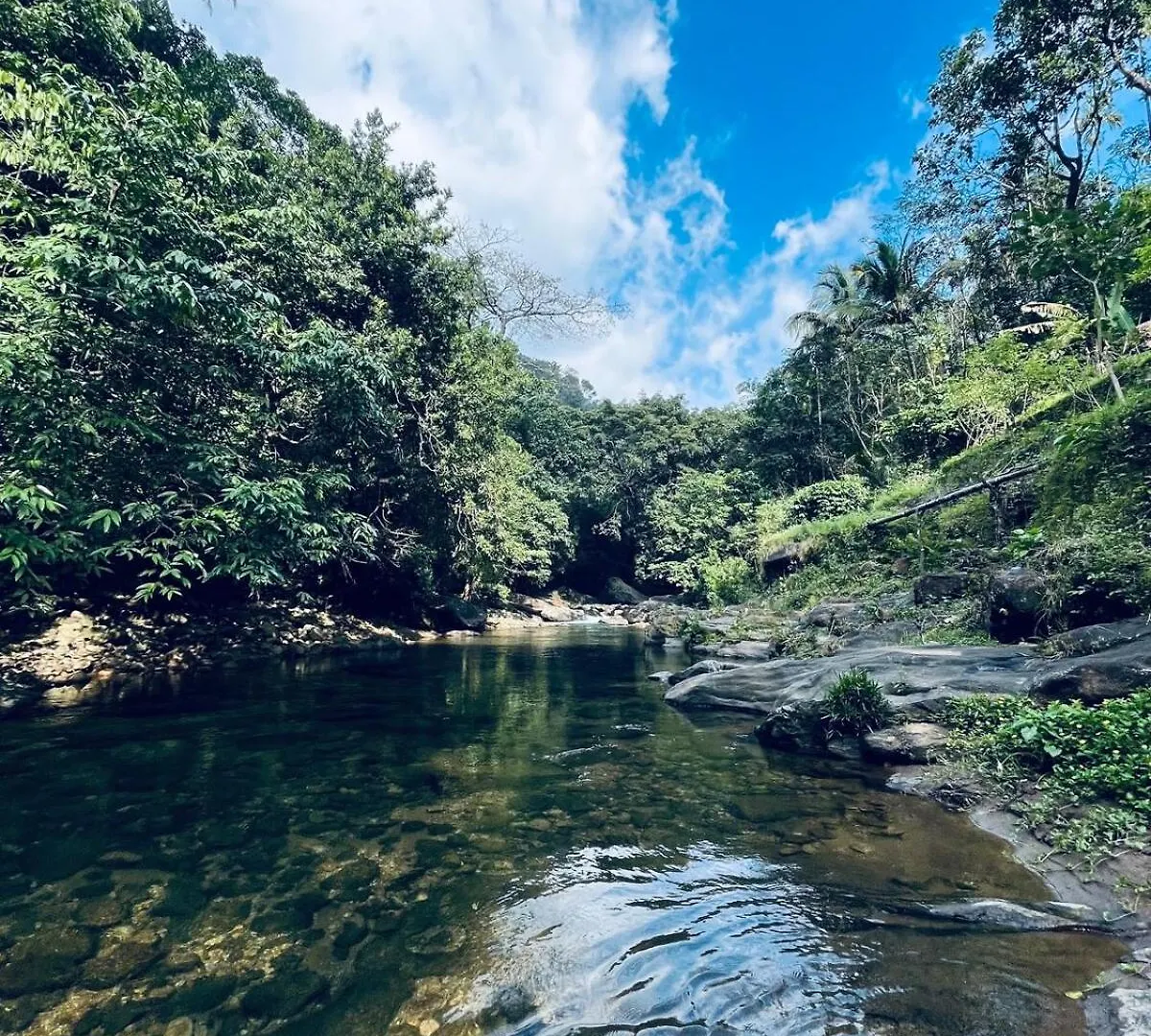 Nature Home Stay 瓦加蒙 度假居