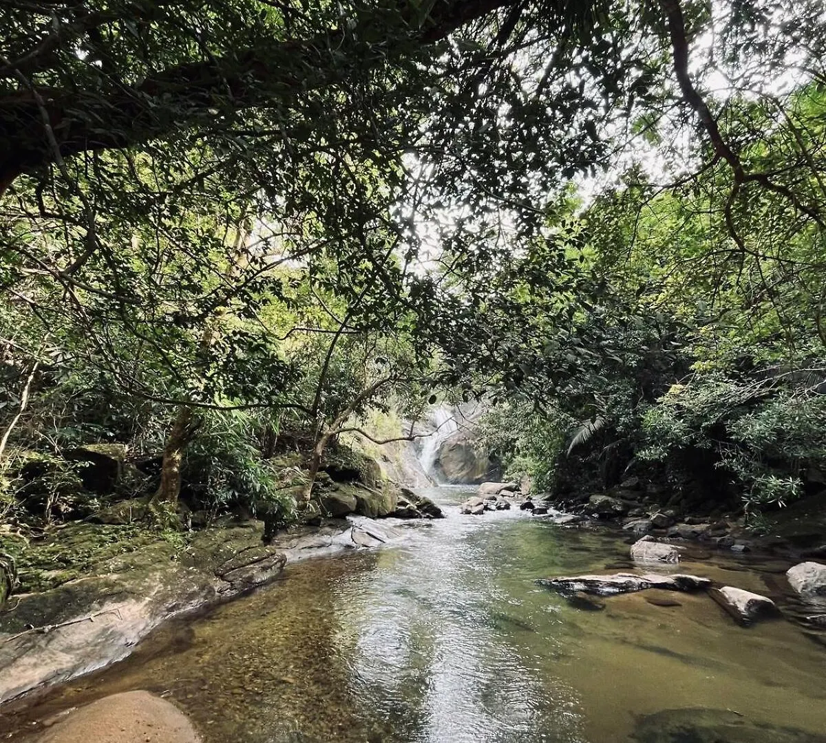 Vakantiehuis Nature Home Stay Vagamon India