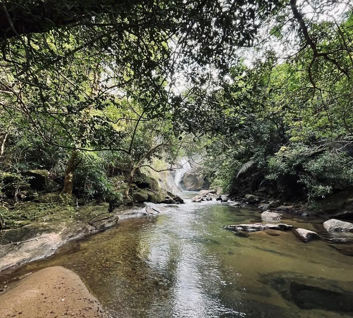 Nature Home Stay Vagamon